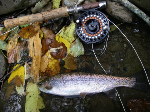 d0051707_1723891.jpg