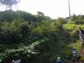 e0012808_10234638.jpg
