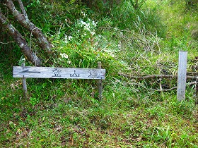 e0012808_10315694.jpg