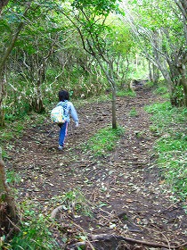 e0012808_10324437.jpg