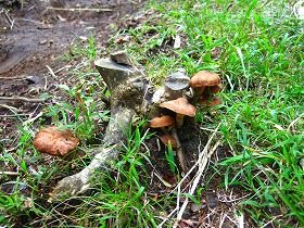 e0012808_10331995.jpg