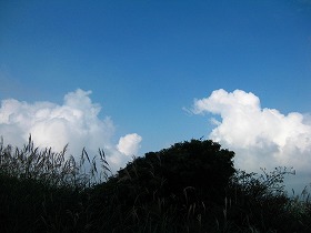e0012808_10365112.jpg