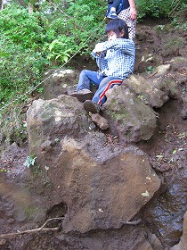 e0012808_10453329.jpg