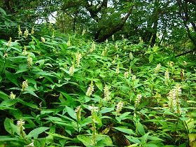 e0012808_10493861.jpg