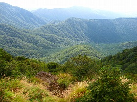 e0012808_10575745.jpg