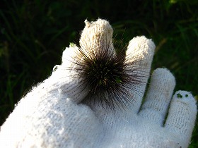 e0012808_1112913.jpg