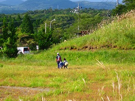 e0012808_111354.jpg