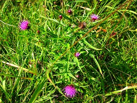 e0012808_1152583.jpg