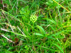 e0012808_1155732.jpg