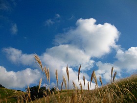 e0012808_119430.jpg