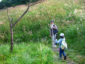 e0012808_718646.jpg