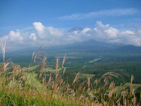 e0012808_734440.jpg