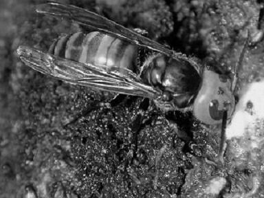 e0015108_2210484.jpg
