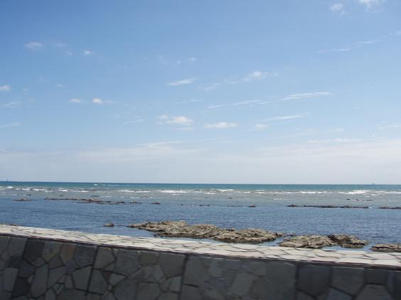 c0132311_2363654.jpg
