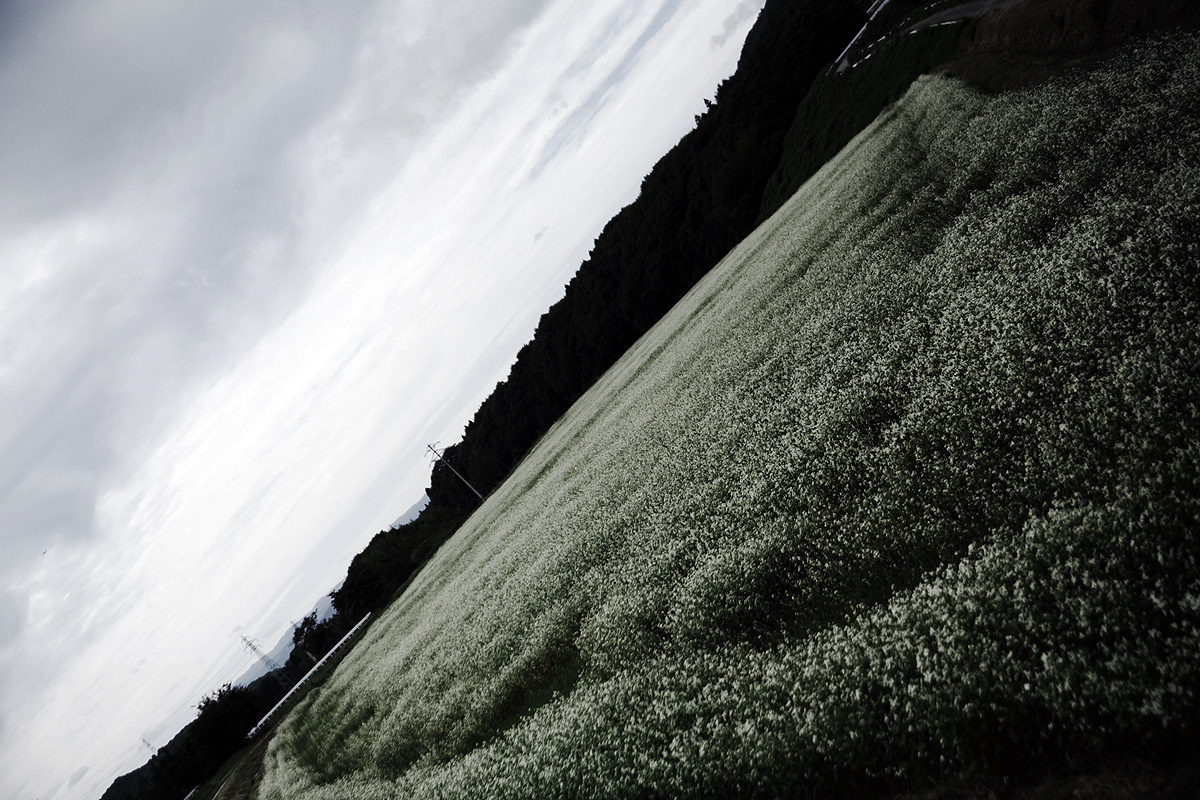c0115616_21382131.jpg