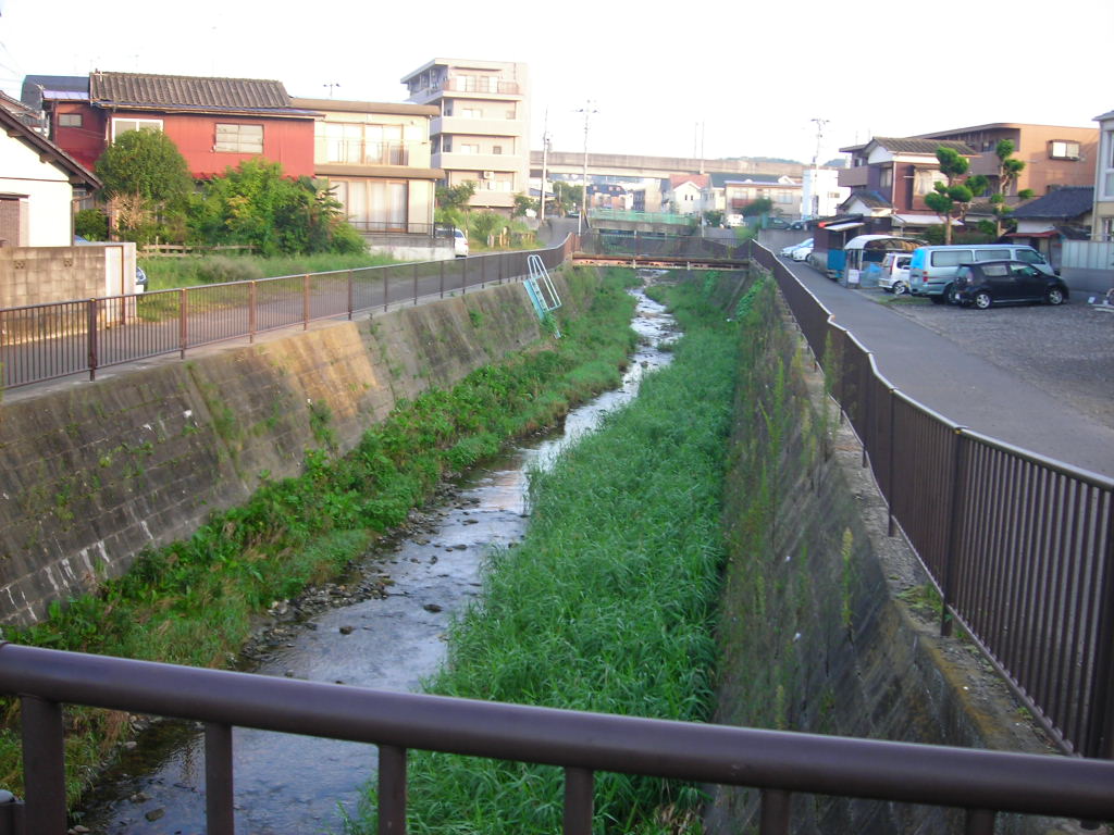 a0030217_2093680.jpg
