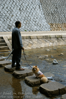 b0075318_21202886.gif