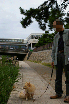 b0075318_21232416.gif