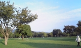 f0031420_94848.jpg