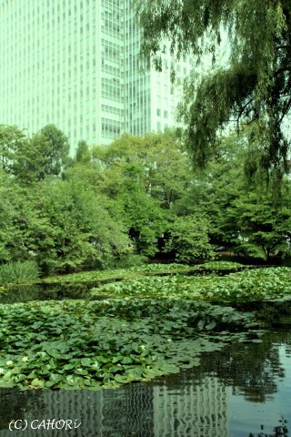 c0071221_13112441.jpg