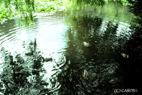 c0071221_1312254.jpg