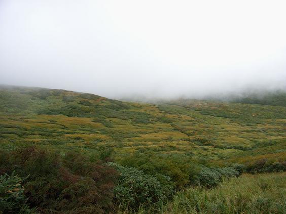 f0118332_2320838.jpg