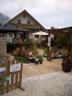 c0100534_20285739.jpg