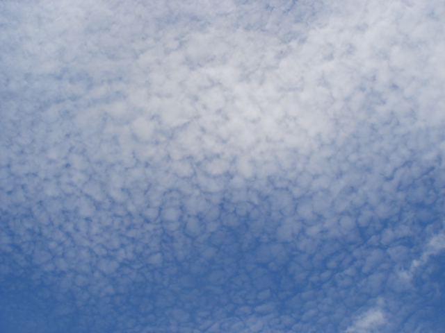c0100534_8274044.jpg