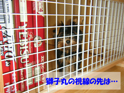 f0008935_14343379.gif