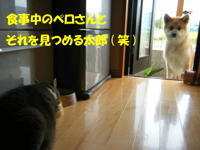 f0008935_1434484.gif