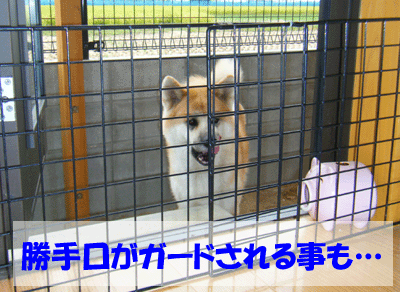 f0008935_1436228.gif