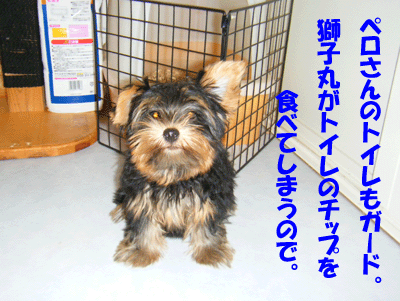 f0008935_14372748.gif