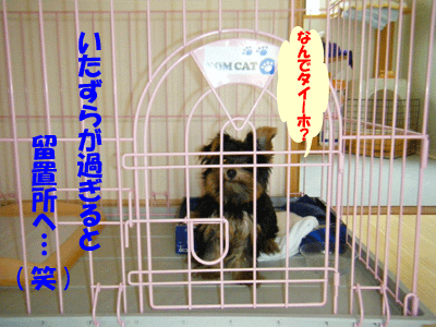 f0008935_14402851.gif