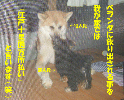f0008935_1441890.gif