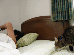 c0136736_21265814.gif