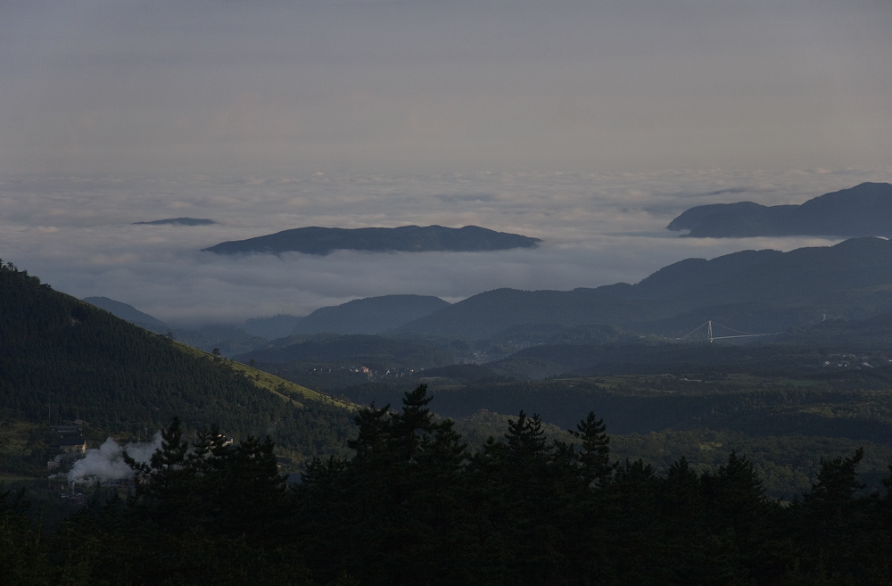 d0136836_539965.jpg
