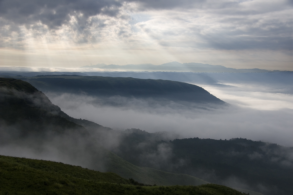 d0136836_544755.jpg