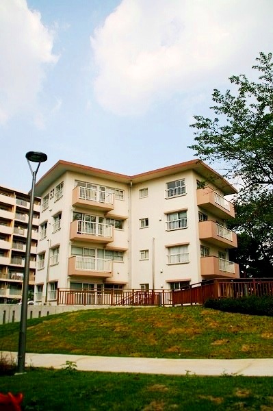 d0141239_15516100.jpg