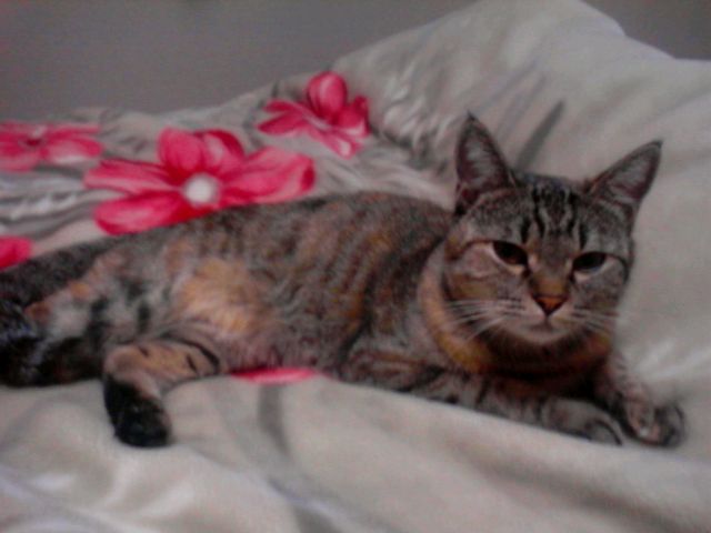 f0032042_22162228.jpg