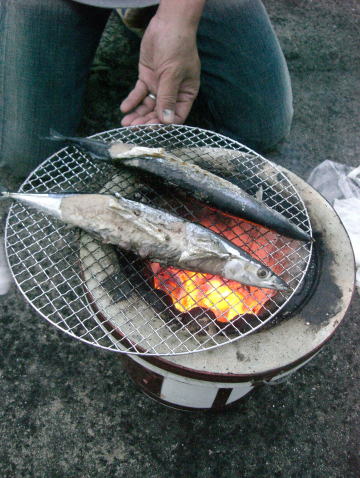 f0094843_00542.jpg
