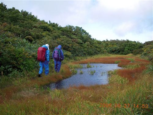 c0081645_23252141.jpg