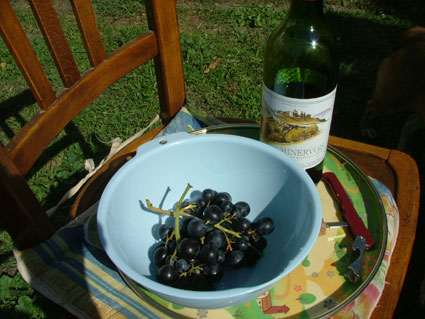 f0181149_114563.jpg