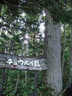 e0131153_21421891.jpg
