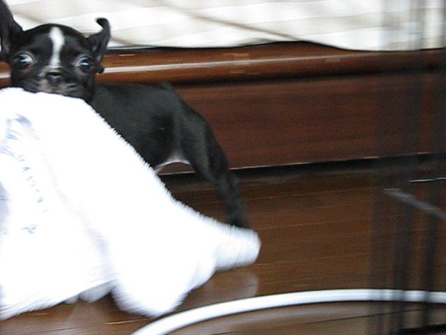 f0160554_17494790.jpg