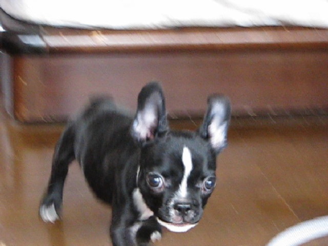 f0160554_1804738.jpg
