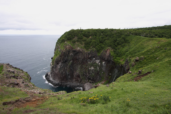 e0122855_15194571.jpg