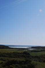 b0086858_1422713.jpg