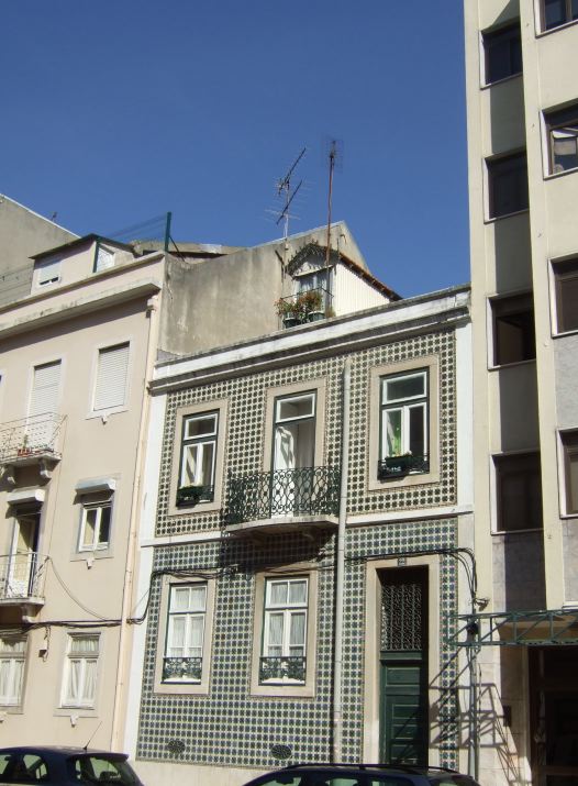 d0066067_0511237.jpg