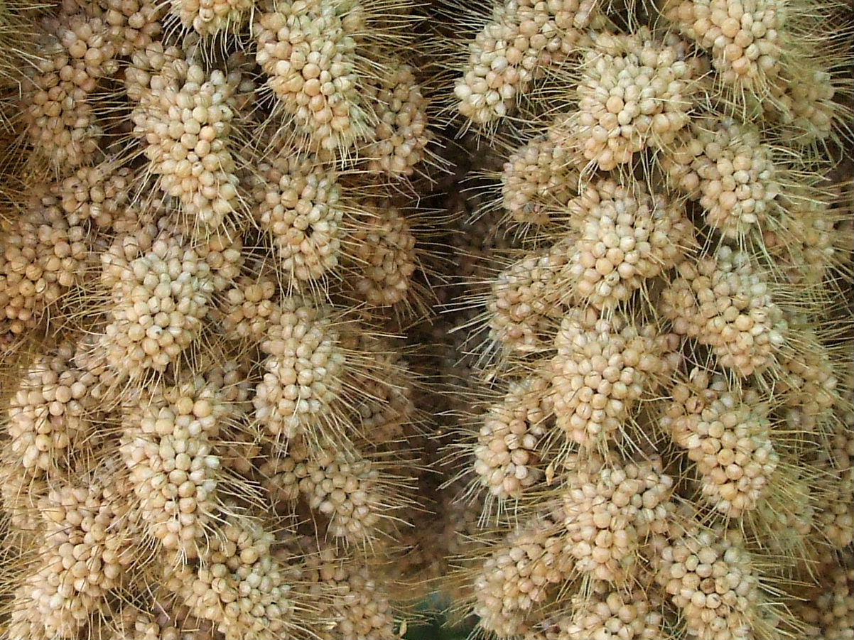 b0067569_2238810.jpg