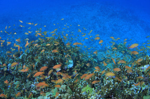 d0114375_22194839.jpg